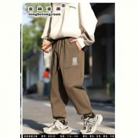 Штаны спорт Delfinka 88220 brown Штаны спорт Delfinka 88220 brown