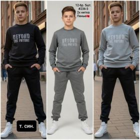 Костюм спорт AMZ 236-3 d.grey