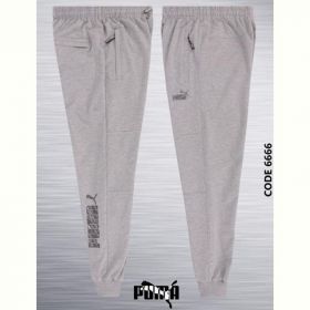 Спортивные штаны AZT AZ338-6666 l.grey
