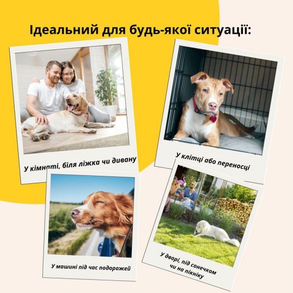 Лежак-матрас для собак IDEIA с подушкой 80х120 см, лежанка для домашних питомцев, съёмный чехол, ортопедическая поддержка Лежак-матрас для собак IDEIA с подушкой 80х120 см, лежанка для домашних питомцев, съёмный чехол, ортопедическая поддержка