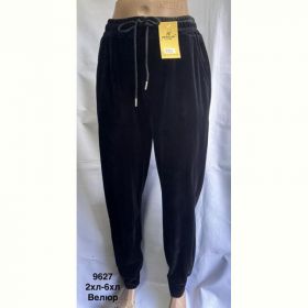 Штаны спорт Minh 9627 black