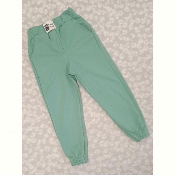 Штаны спорт Malibu2 1428 mint