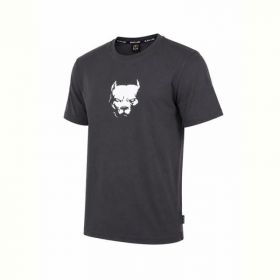 Футболка Alex Clothes 14579 grey