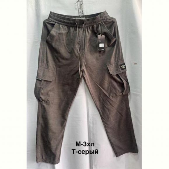 Шорты Minh 3005 d.grey
