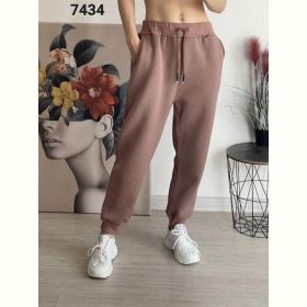 Штаны спорт FSN 7434 brown Штаны спорт FSN 7434 brown