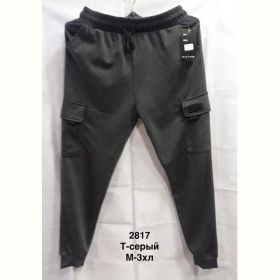 Штаны спорт Minh 2817 grey