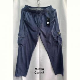 Штаны спорт Minh 3005 navy