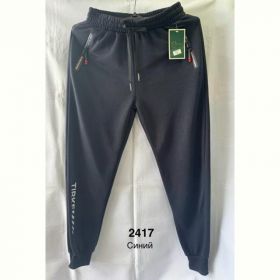 Штаны спорт Minh 2417 navy