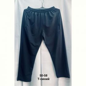 Штаны спорт Minh MH1058 navy