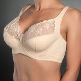 Бюстгальтер Diorella 5021G beige
