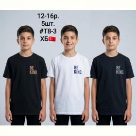 Футболка AMZ T8-3 black-beige