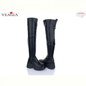 Ботфорты Veagia T03-1