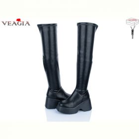 Ботфорты Veagia 7T02-2 єврозима