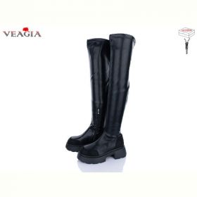 Ботфорты Veagia T05-2