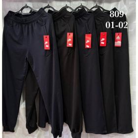 Штаны спорт Shon 02-1 navy