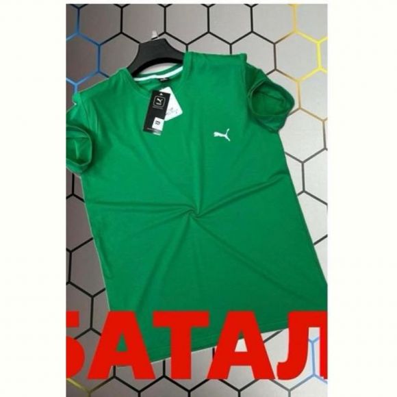 Футболка Alex Clothes 13120 green