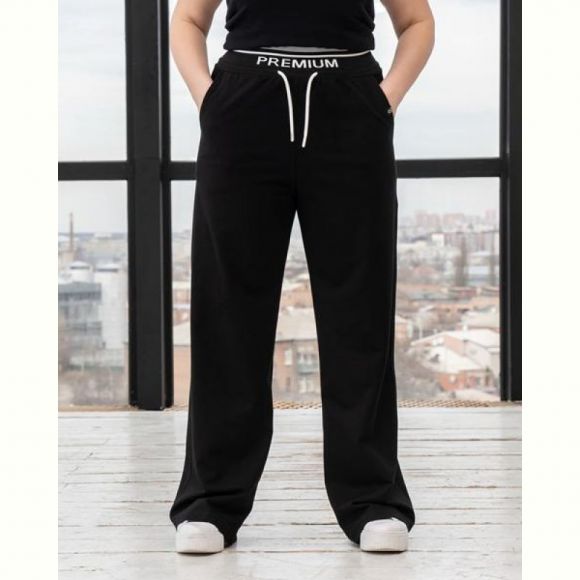 Штаны спорт AZNA Б1152 black Штаны спорт AZNA Б1152 black