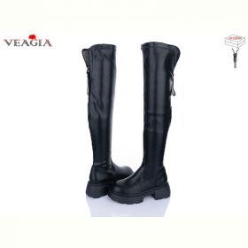Ботфорты Veagia T10-1