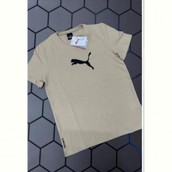 Футболка Alex Clothes 13126 beige