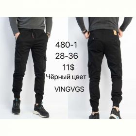 Штаны God Baron 480-1 black