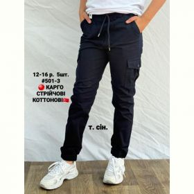 Джоггеры AMZ 501-3 navy Джоггеры AMZ 501-3 navy