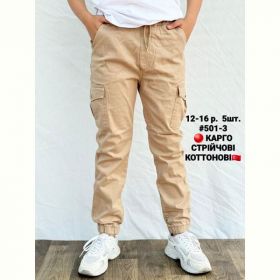 Джоггеры AMZ 501-3 beige Джоггеры AMZ 501-3 beige