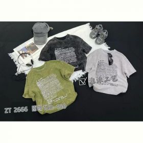 Футболка Фунтик 2666 l.grey
