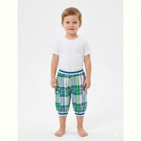 Шорты Malibu2 1107 green