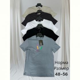 Футболка Hai H1469 d.grey