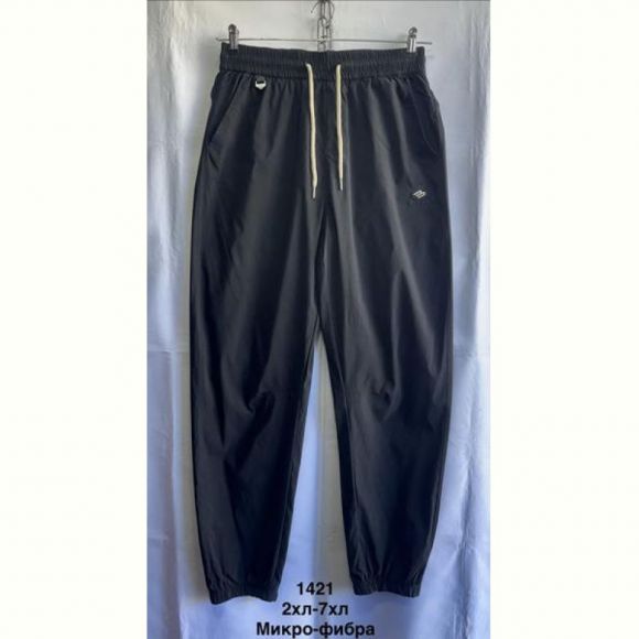 Штаны спорт Minh 1421 black Штаны спорт Minh 1421 black