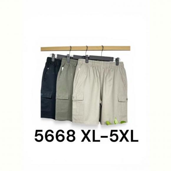 Шорты LiOpt 5668 l.grey