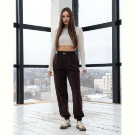 Штаны спорт AZNA Б98 chocolate