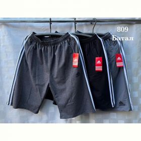 Шорты Shon S2836 l.grey