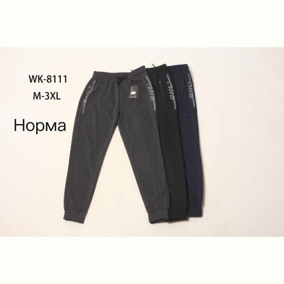 Штаны спорт Hoan WK8111 grey