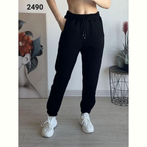 Штаны спорт FSN 2490 black