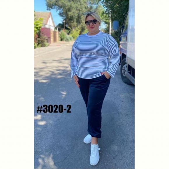 Штаны спорт BAT 3020-2 blue