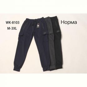 Штаны спорт Hoan WK8103 black Штаны спорт Hoan WK8103 black