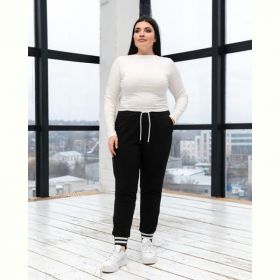 Штаны спорт AZNA Б65 black