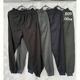 Штаны спорт Shon 00M navy