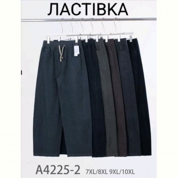 Штаны Hoan A4225-2 mix