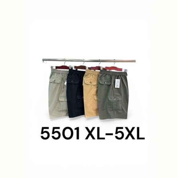 Шорты LiOpt 5501 l.grey Шорты LiOpt 5501 l.grey