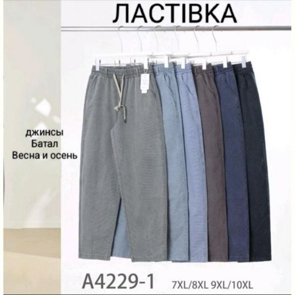 Штаны Hoan A4229-1 mix