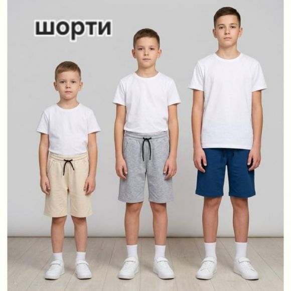Шорты MMZ M1495 grey Шорты MMZ M1495 grey