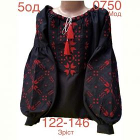 Вышиванка Надийка ND888-0750 black