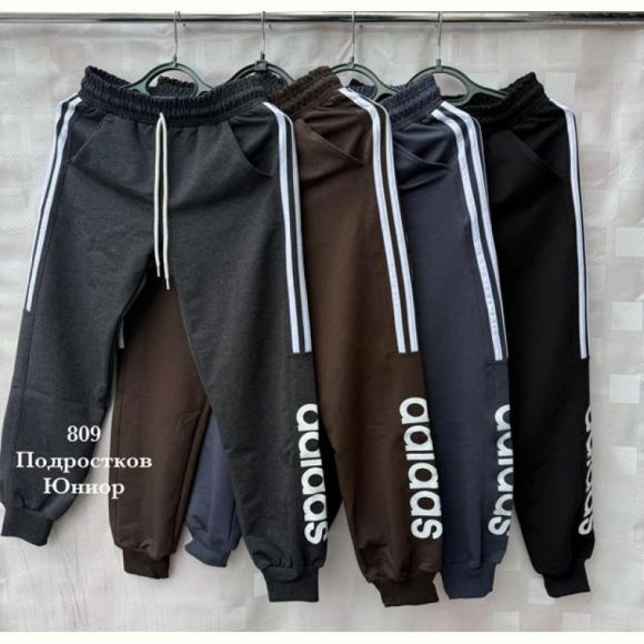 Штаны спорт Shon S2606 grey