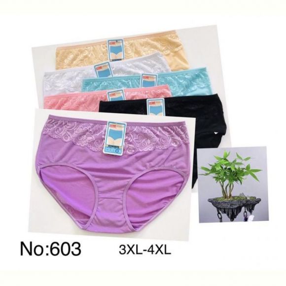 Трусы ALIA 603 mix