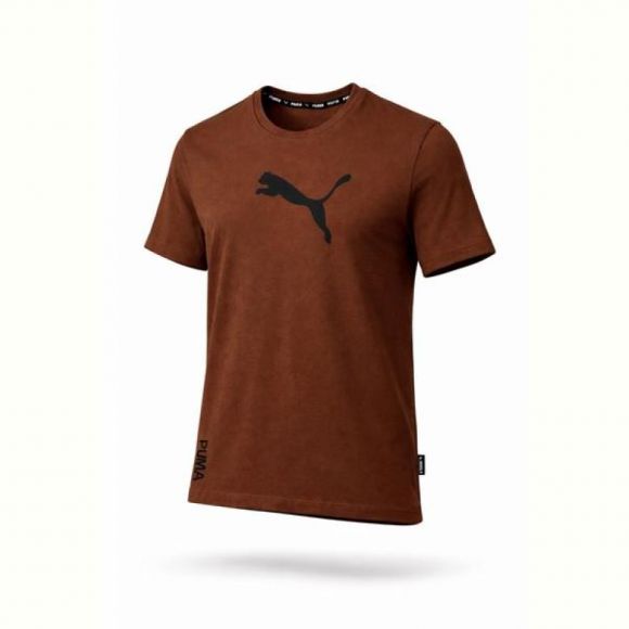 Футболка Alex Clothes 14418 brown Футболка Alex Clothes 14418 brown