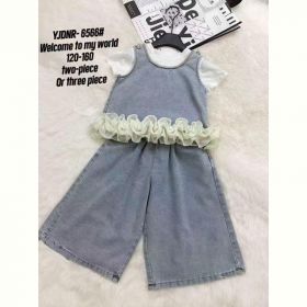 Костюм Delfinka 6566 grey