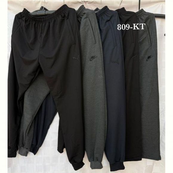 Штаны спорт Shon 809KT-1 grey (56-64)