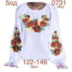 Вышиванка Надийка ND882-0731 white